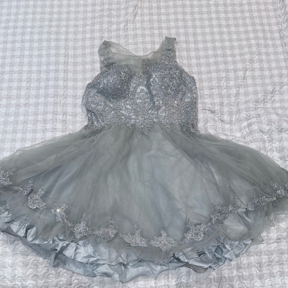 Elegant Gray Tulle Dress with Sequins